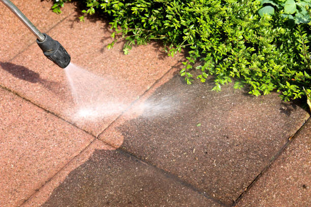 Best Pressure Washing Company Near Me  in Goliad, TX
